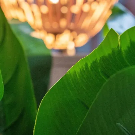 Entero, A Diez Minutos De La Juderia, Cochera Opcional コルドバ