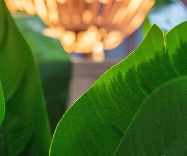 Entero, A Diez Minutos De La Juderia, Cochera Opcional Cordoba